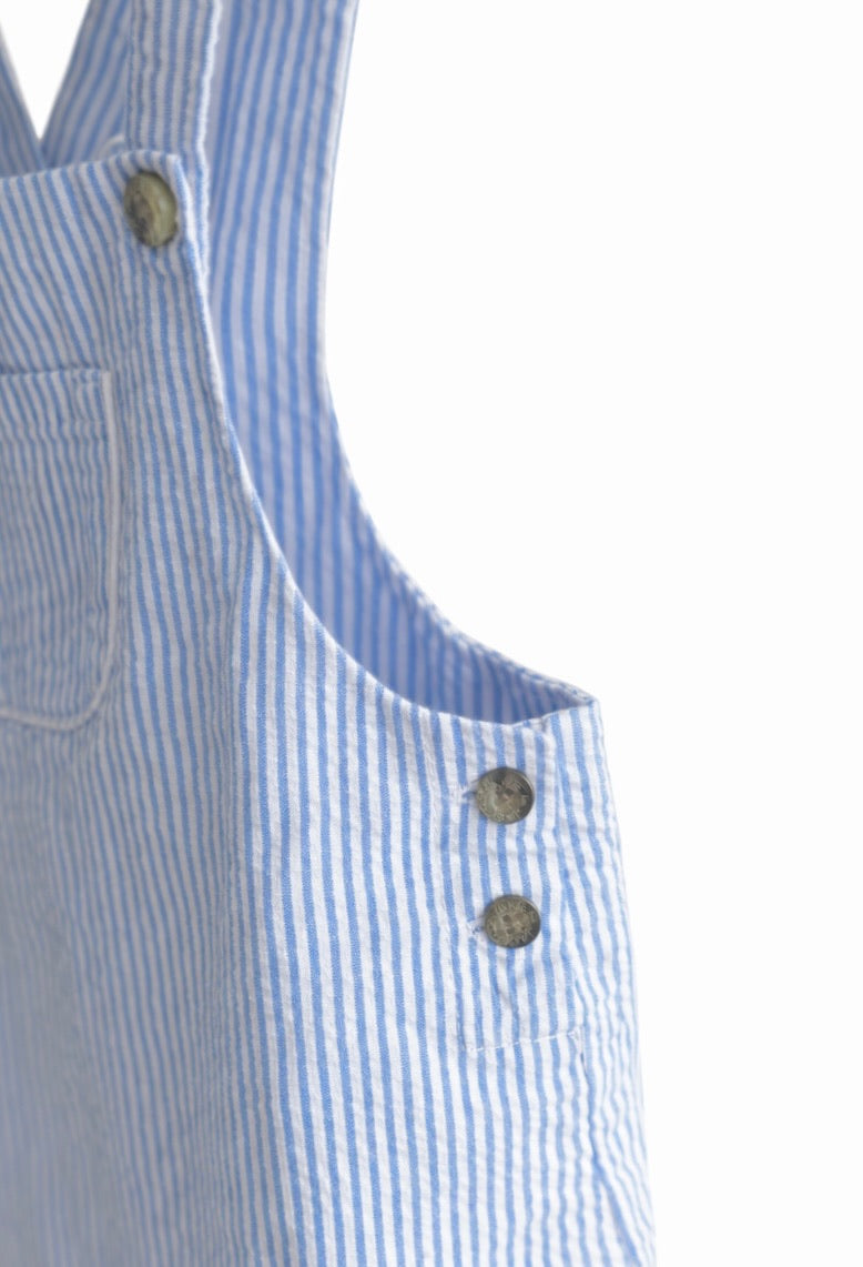Blue Striped Overall