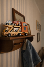 Zookabee Car Carrier