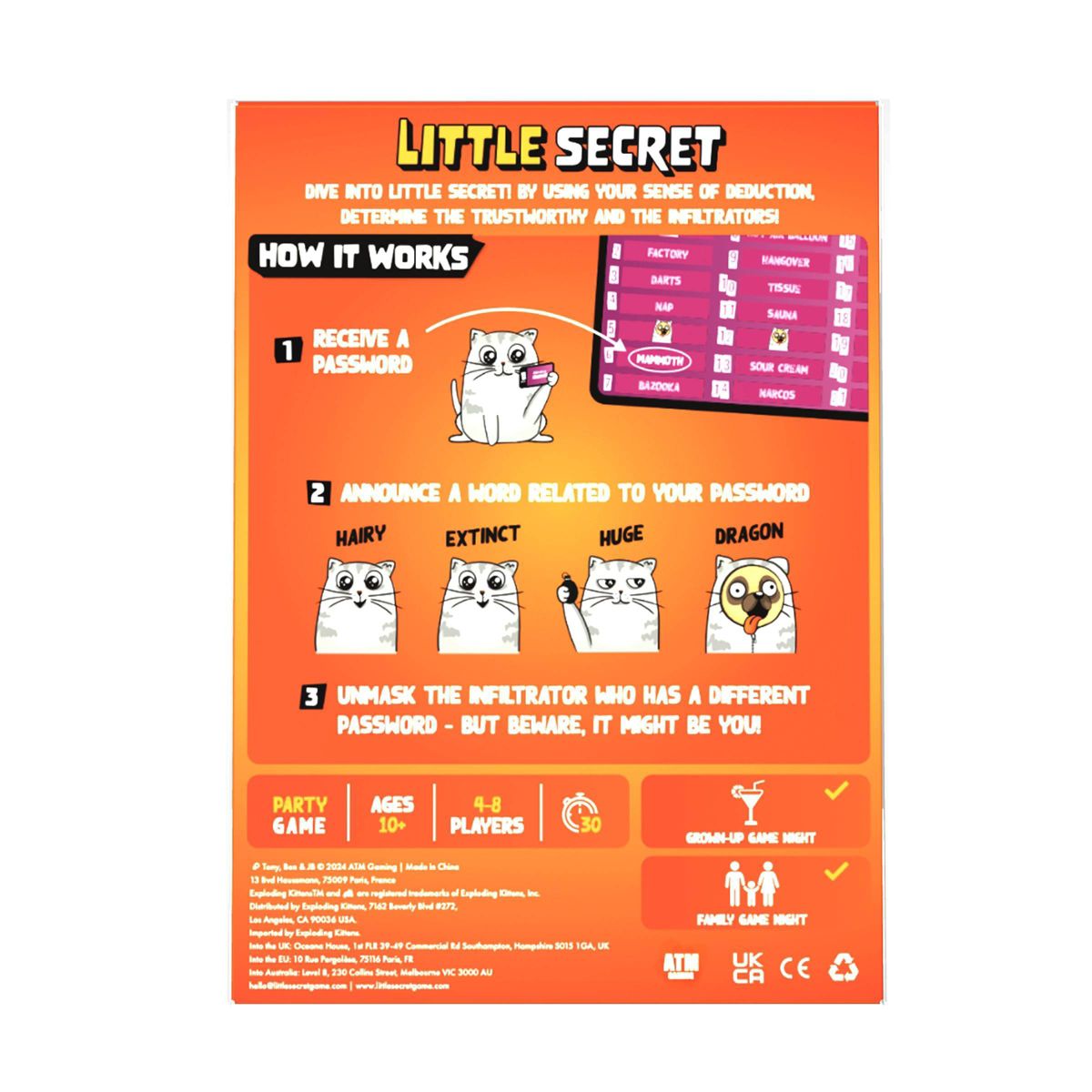 Little Secret