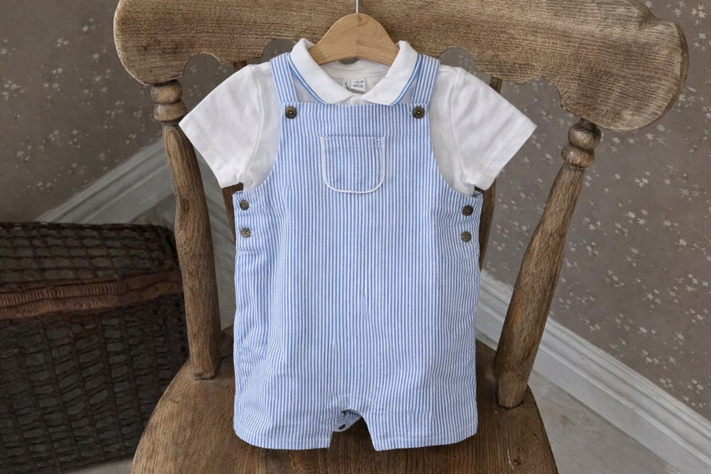 Blue Striped Overall